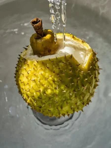Gently rinse the soursop and remove the stem and skin.